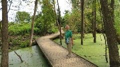 Ruth Bennett McDougal Dorrough; Board Walk